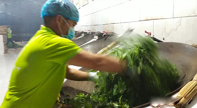 電氣化制茶成主流，蒸汽發(fā)生器讓制茶無(wú)煙化，實(shí)現(xiàn)零排放的環(huán)保目標(biāo)