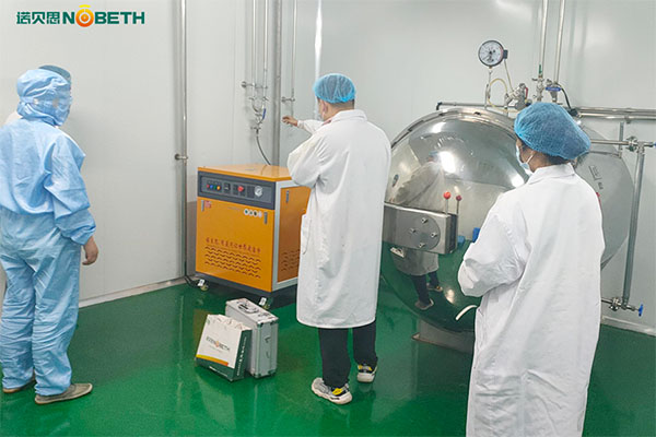 高溫高壓蒸汽機(jī)推薦，食品蒸汽滅菌用